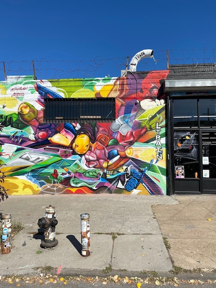 Picture 2 for Activity New York City: French Bushwick and Williamsburg Tour