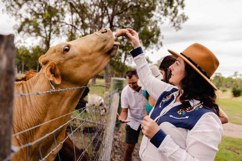 Picture 4 for Activity Bundaberg: Splitters Farm Private Guided Tour