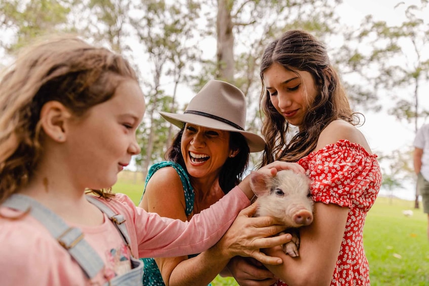 Picture 5 for Activity Bundaberg: Splitters Farm Private Guided Tour