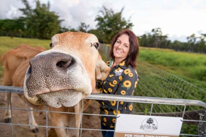 Bundaberg: Splitters Farm Guided Tour