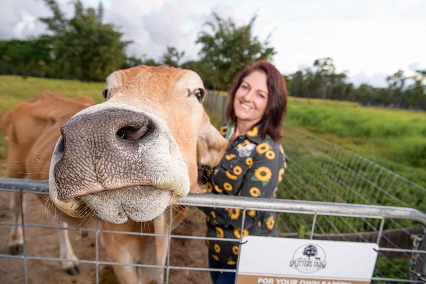 Bundaberg: Splitters Farm Private Guided Tour