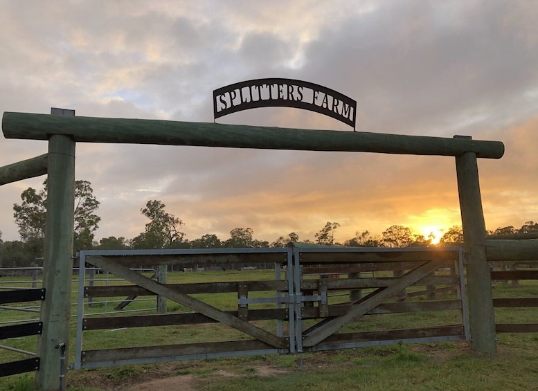 Picture 1 for Activity Bundaberg: Splitters Farm Private Guided Tour