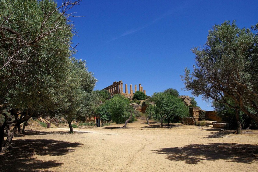 Picture 1 for Activity Agrigento: The Ultimate Valley of the Temples Private Tour