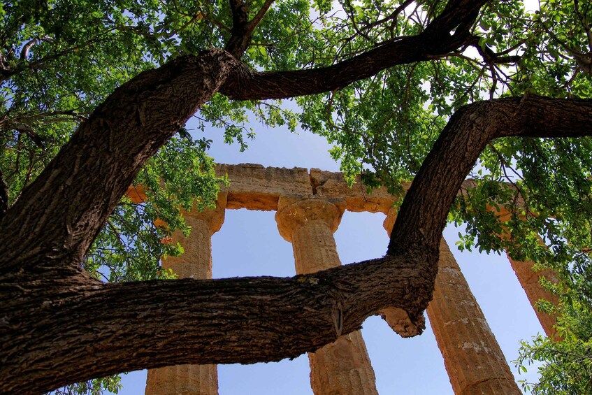 Picture 4 for Activity The Ultimate Private Tour of the Valley of the Temples