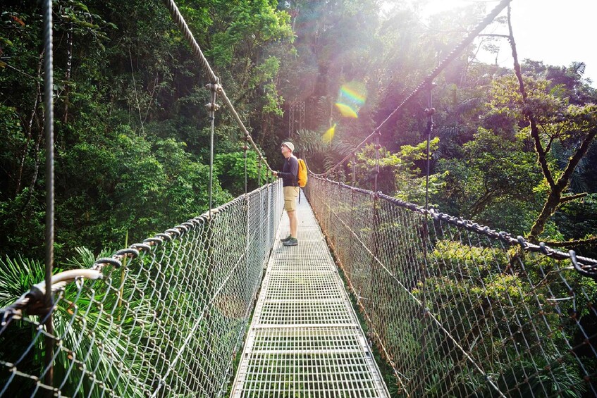 Picture 4 for Activity San Jose: Rainforest Chocolate Tour with Hanging Bridge