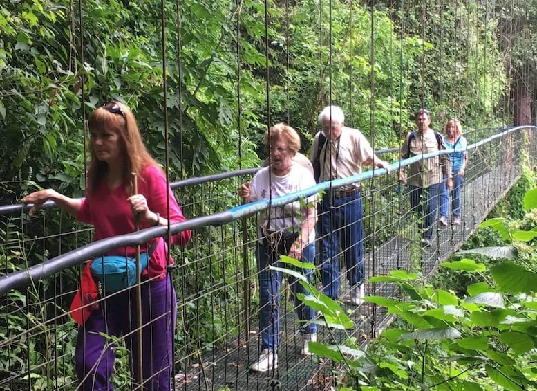 Picture 5 for Activity San Jose: Rainforest Chocolate Tour with Hanging Bridge