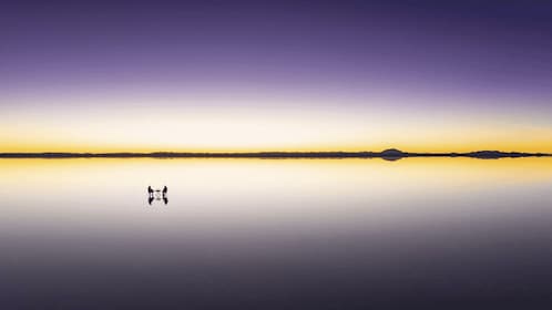 2-Days private return from Chile to Uyuni Salt Flats