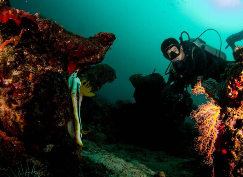 Picture 2 for Activity Scuba Diving in Boracay: SSI Basic Diver for Beginners