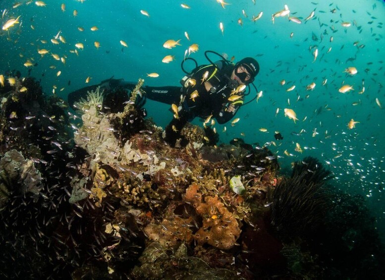 Picture 4 for Activity Scuba Diving in Boracay: SSI Basic Diver for Beginners