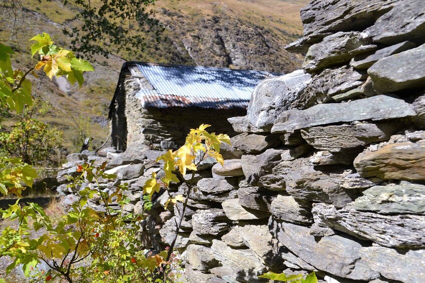 Picture 7 for Activity From Queenstown: Gold Panning Day-Trip with Morning Tea