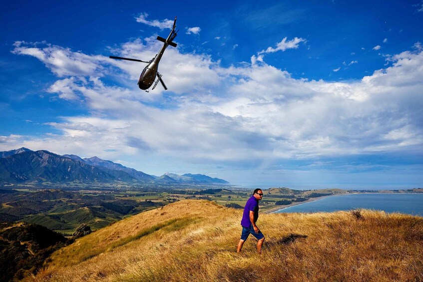 Picture 6 for Activity Kaikōura: 45-Minute Whale Watching Helicopter Tour