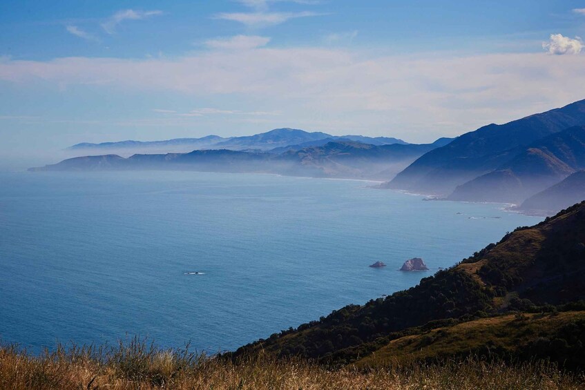 Picture 8 for Activity Kaikōura: 45-Minute Whale Watching Helicopter Tour