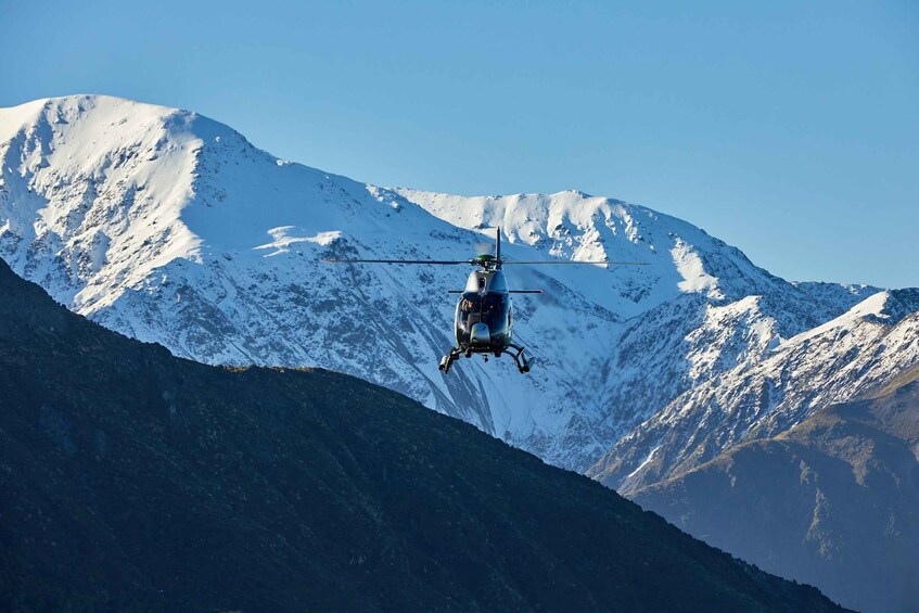 Picture 1 for Activity Kaikōura: 45-Minute Whale Watching Helicopter Tour