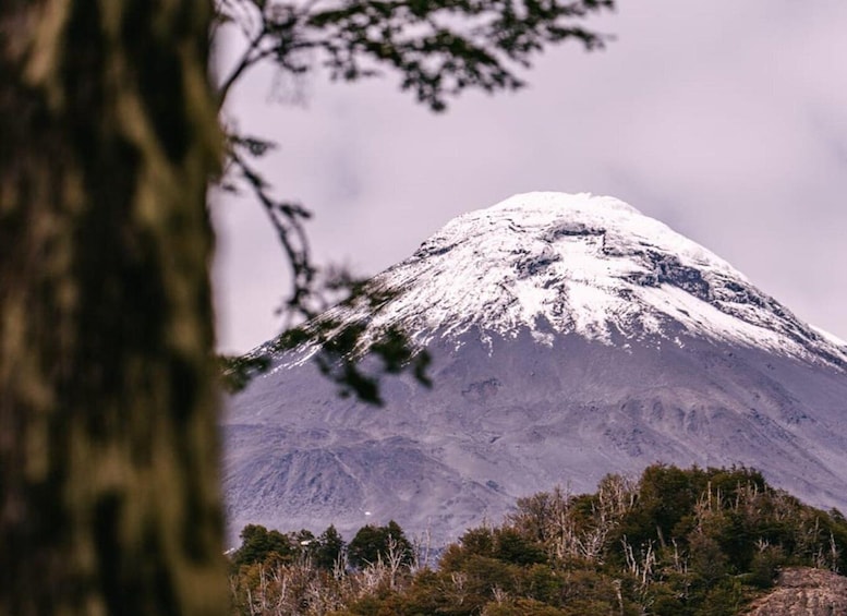 Picture 3 for Activity Pucon: Full-Day Villarrica National Park Hike