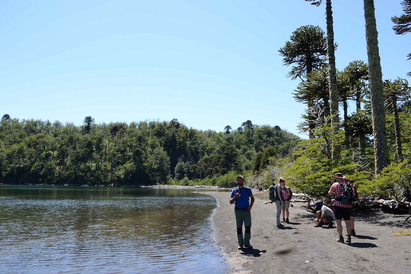 Picture 2 for Activity Pucon: Full-Day Villarrica National Park Hike