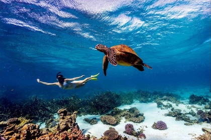 Mombasa: Kisite Park Private Cruise with Breakfast and Lunch