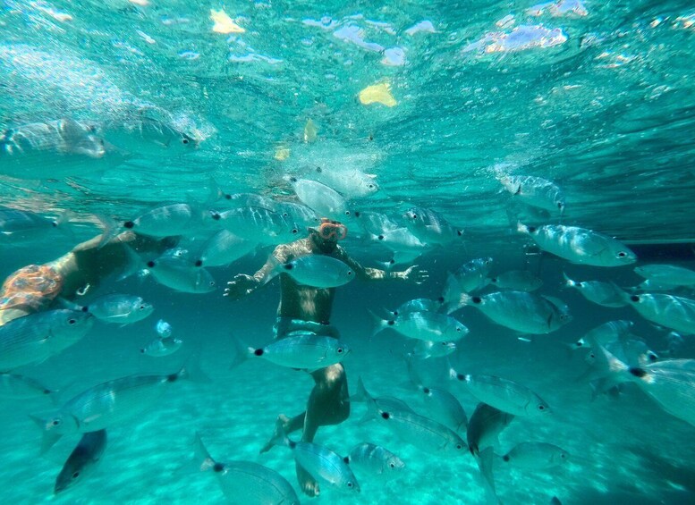 Picture 4 for Activity From Palau: Maddalena Archipelago Catamaran Tour with Lunch