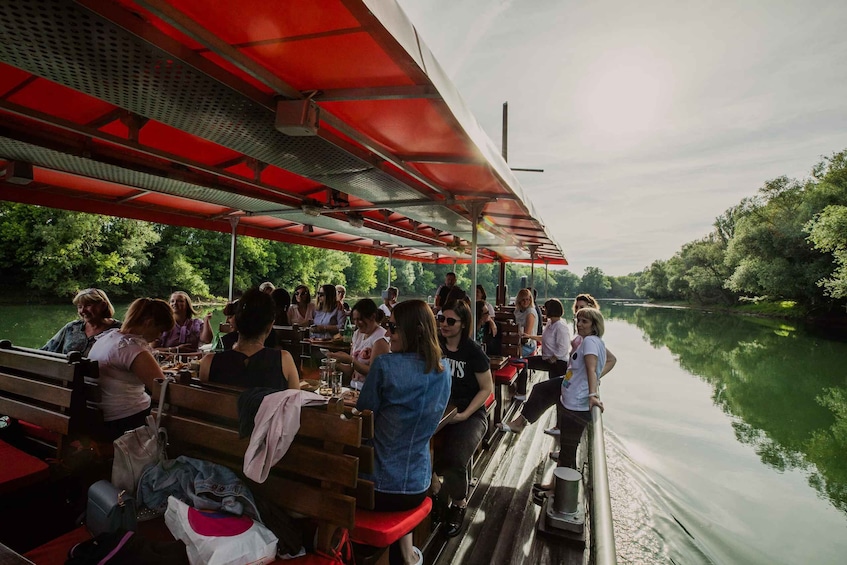 Picture 3 for Activity Private Riverboat Tour on Kupa river