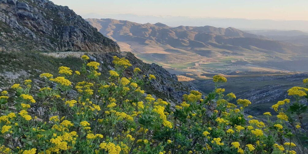 Picture 5 for Activity From Oudtshoorn: Full Day Swartberg Mountain Private Tour