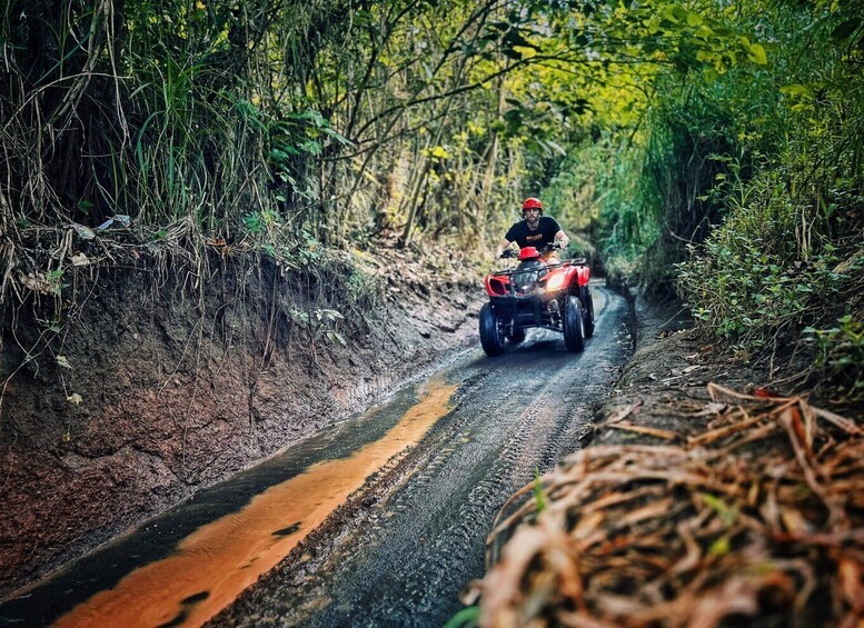 Picture 4 for Activity Bali: Ubud Gorilla Cave Track ATV & Waterfall Tour with Meal