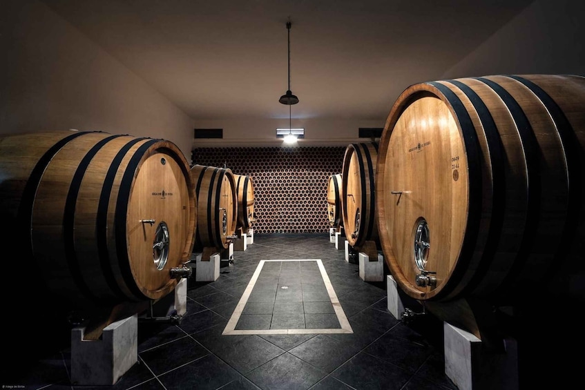 Borba: Winery Tours and Amphora Wine Tasting