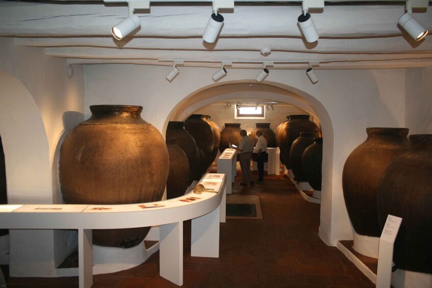 Picture 2 for Activity Borba: Winery Tours and Amphora Wine Tasting