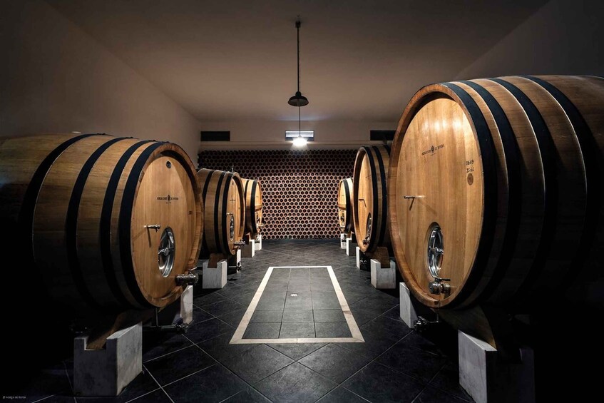 Borba: Winery Tours and Amphora Wine Tasting