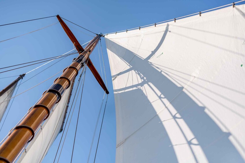 Picture 3 for Activity Newport: Sightseeing Sunset Sail on Schooner Madeleine