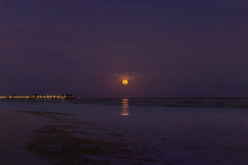 Picture 2 for Activity Sotogrande: Full Moon on the Sea 2 Hours