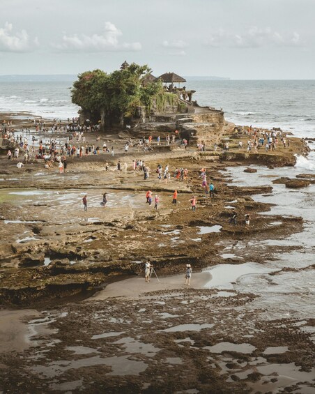 Picture 9 for Activity Half Day Tanah Lot Temple Sunset Tours
