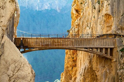 Caminito del Rey: Entry Ticket and Guided Tour