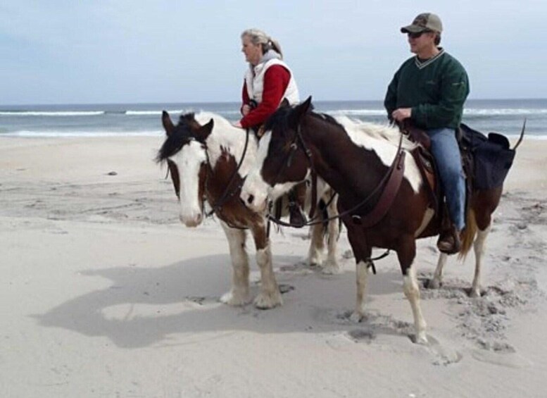 Picture 4 for Activity Horse Riding in Port City