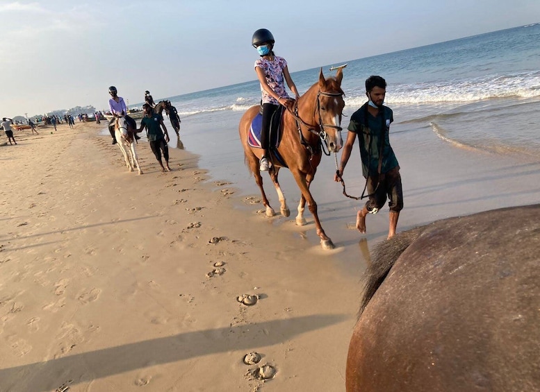 Picture 1 for Activity Horse Riding in Port City