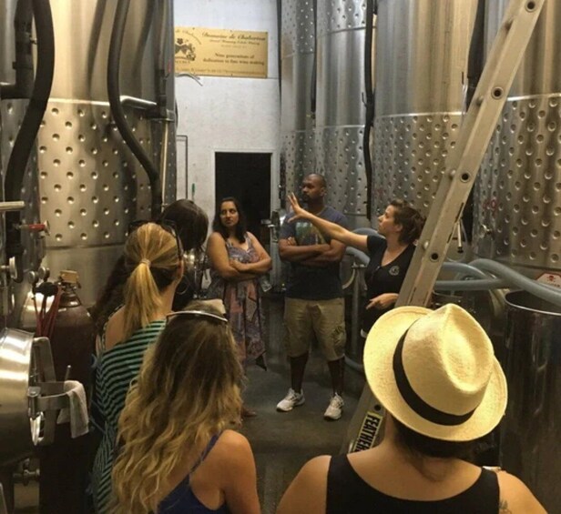 Picture 4 for Activity From Toronto: Niagara Wine Tours