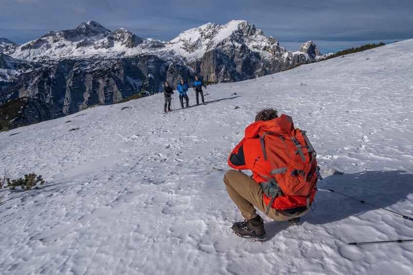 Picture 2 for Activity From Bled: Day Trip to Julian Alps & Hiking with Local Guide