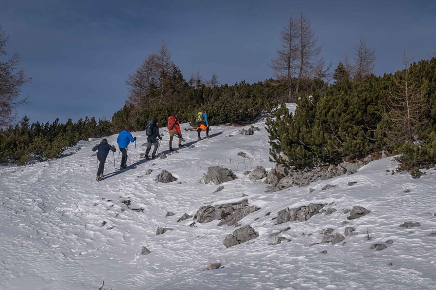 Picture 4 for Activity From Bled: Day Trip to Julian Alps & Hiking with Local Guide