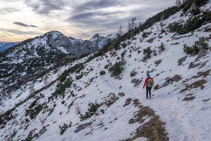 From Bled: Day Trip to Julian Alps & Hiking with Local Guide