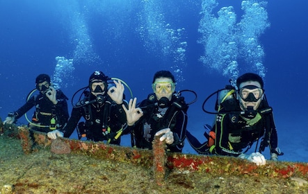 Open Water PADI Diver Course in Cozumel