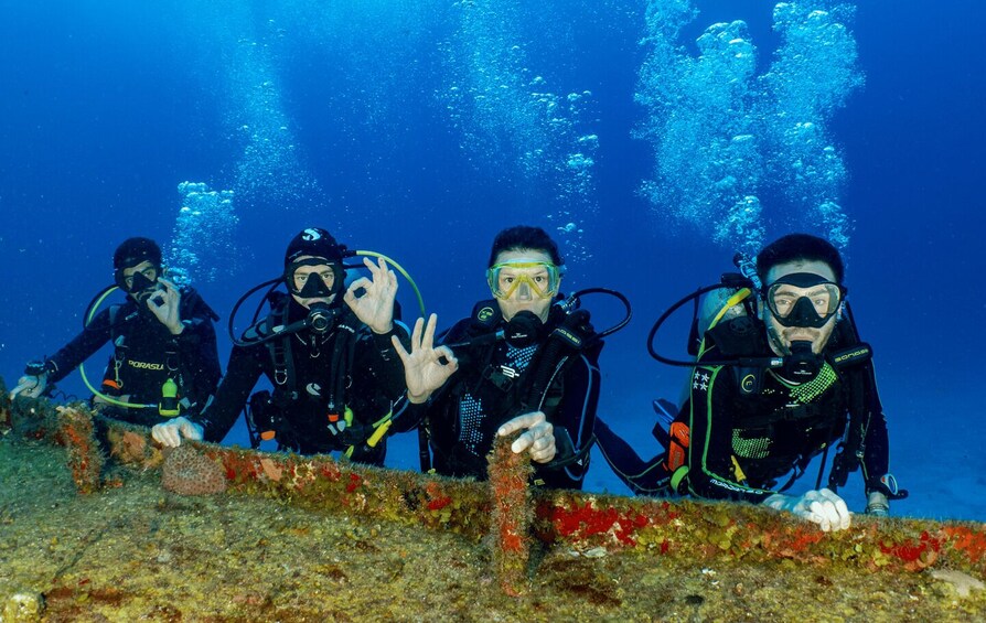 Open Water PADI Diver Course in Cozumel