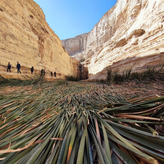 Picture 4 for Activity Masada, Ein Gedi And Dead Sea Private Day Tour