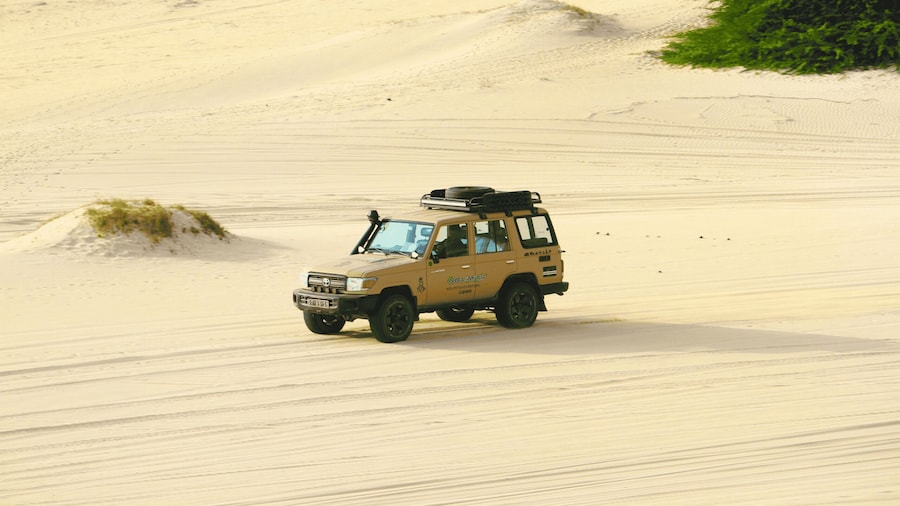 4x4 Boa Vista South Jeep Expedition 4h