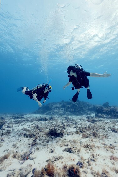 Picture 4 for Activity Cozumel: Discover Scuba Diving