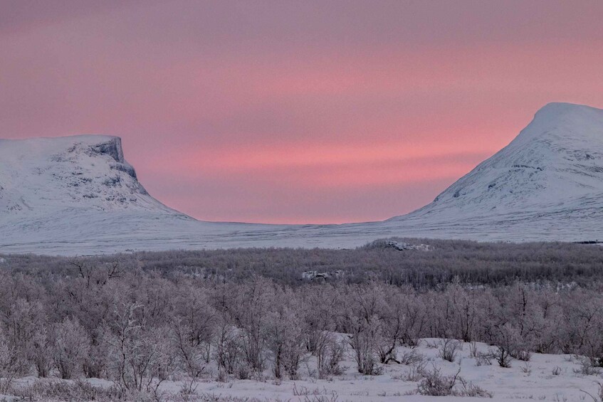 Abisko National Park: Scenic Morning Hike with Transfer