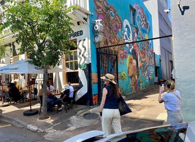 Johannesburg: Braamfontein Street Art & Culture Tour