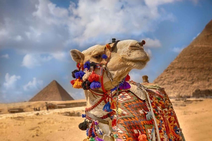 Picture 11 for Activity Cairo:Pyramids & ATV & Shopping private tour with Camel ride