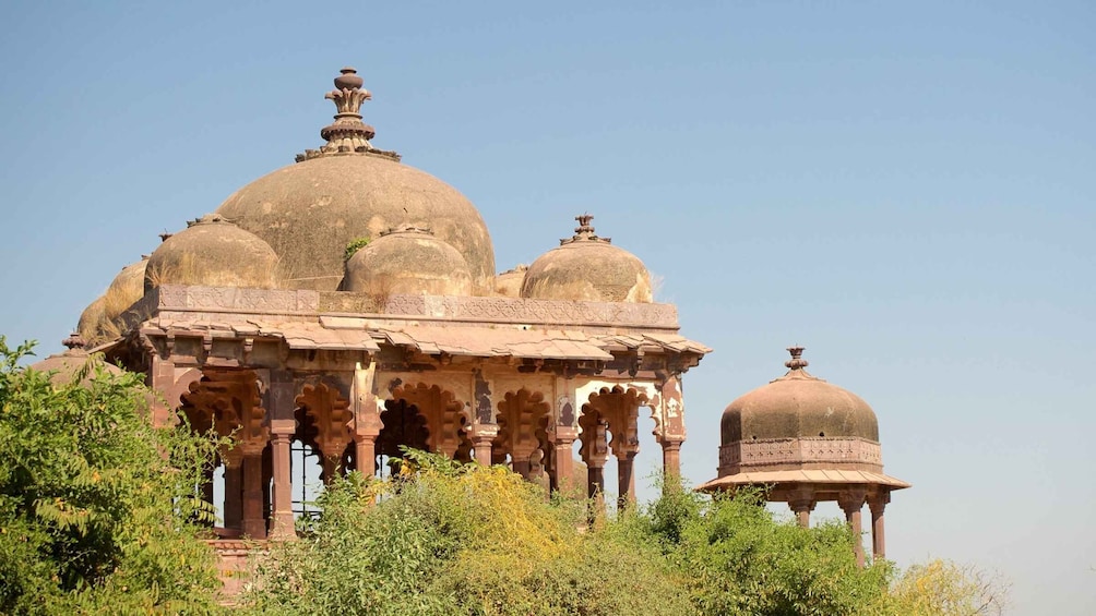 Picture 2 for Activity From Jaipur:Ultimate Jaipur to Ranthambore Jeep Safari Tour