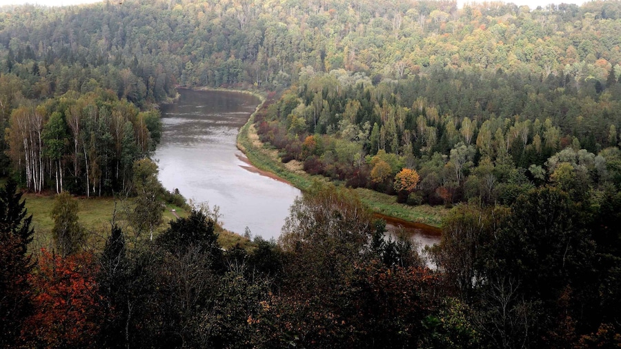 Hike In Gauja National Park - Sigulda