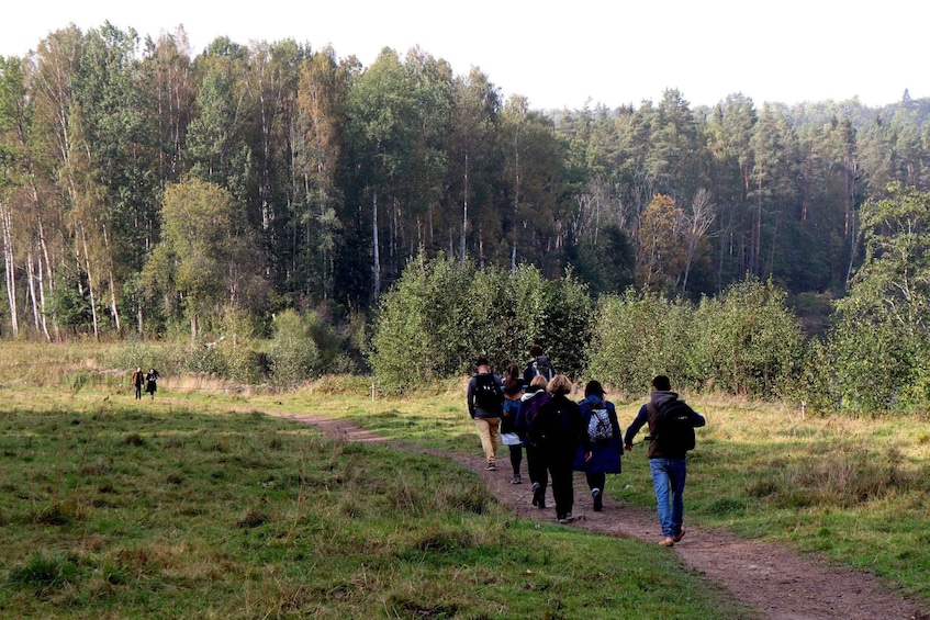 Picture 1 for Activity Hike In Gauja National Park - Sigulda