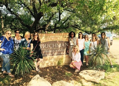 Fra Austin: Halvdags Hill Country Wine Shuttle