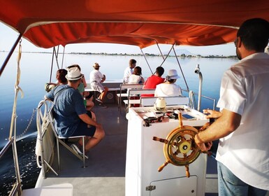 From Trapani: Salt Road Tour With Winery Visit and Boat Trip